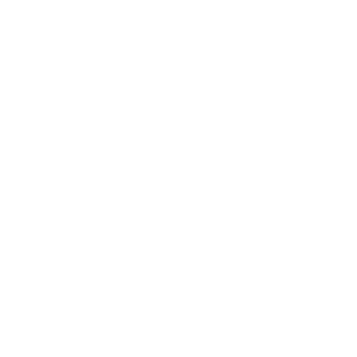 icmp (2)