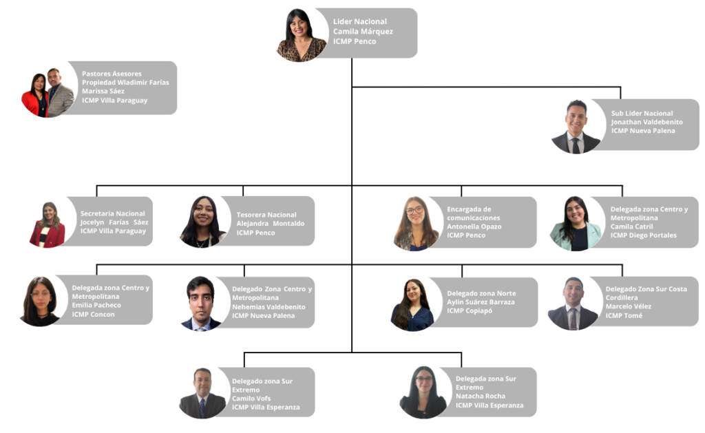 organigramas icmp (1)